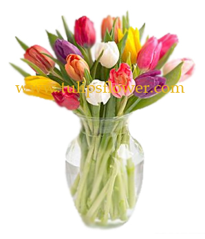 FV014 แจกันดอกไม้สด